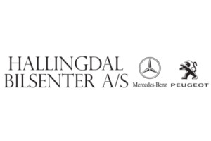 Hallingdal-Bilsenter-Team-Hallingdal
